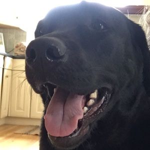 Meet your Posher, Sheila